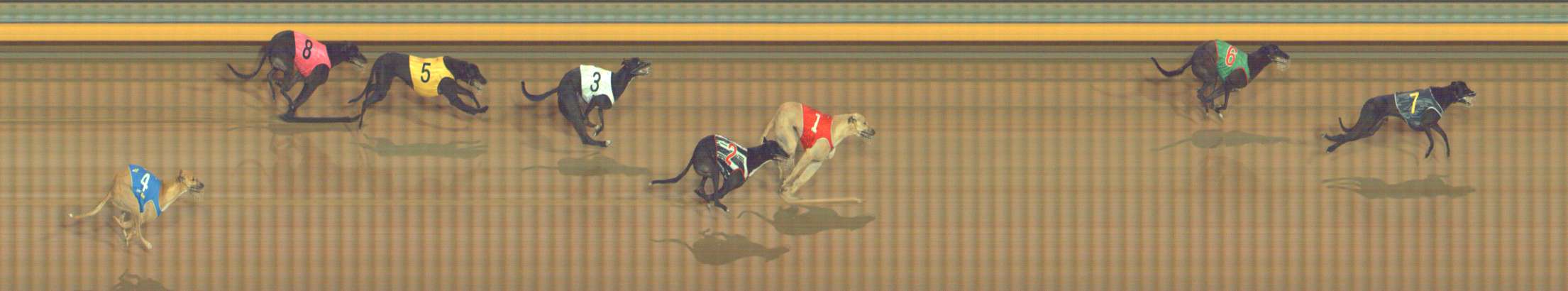 Race result finish photo